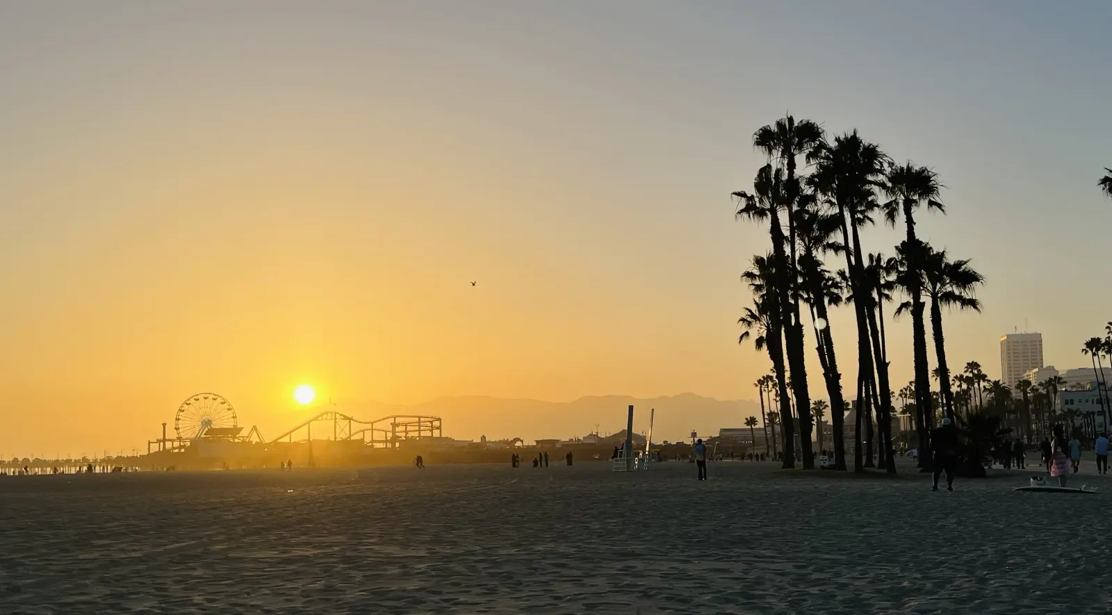 Sunset over the beach and palms in Los Angeles