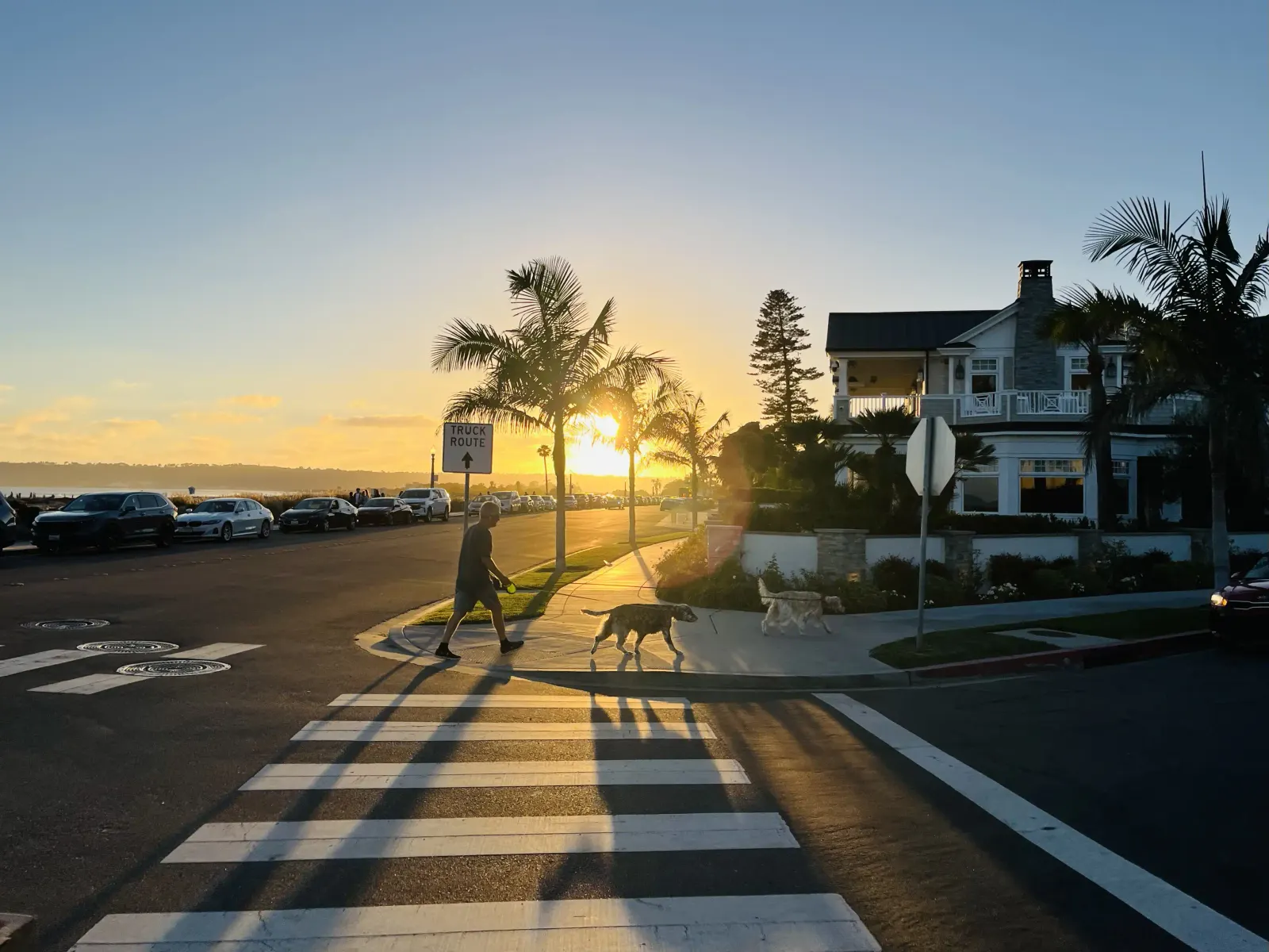 Sunset across a palm-lined street in San Diego
